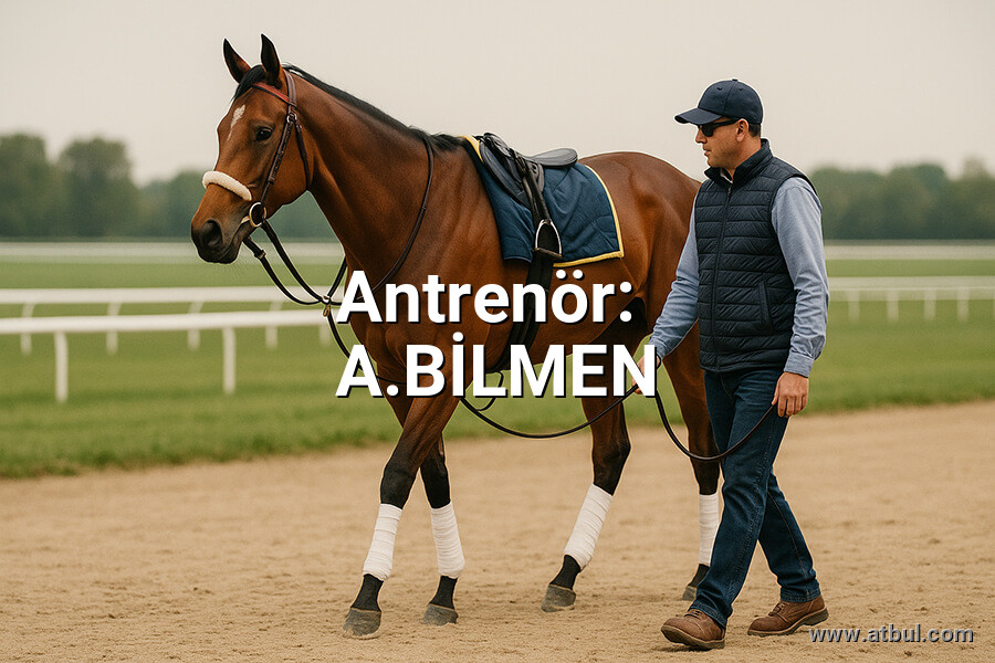 A.BİLMEN