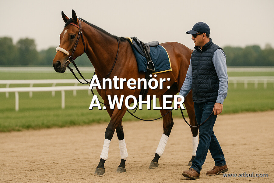 A.WOHLER