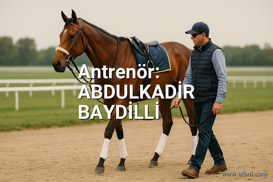 ABDULKADİR BAYDİLLİ