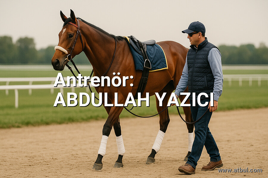 ABDULLAH YAZICI