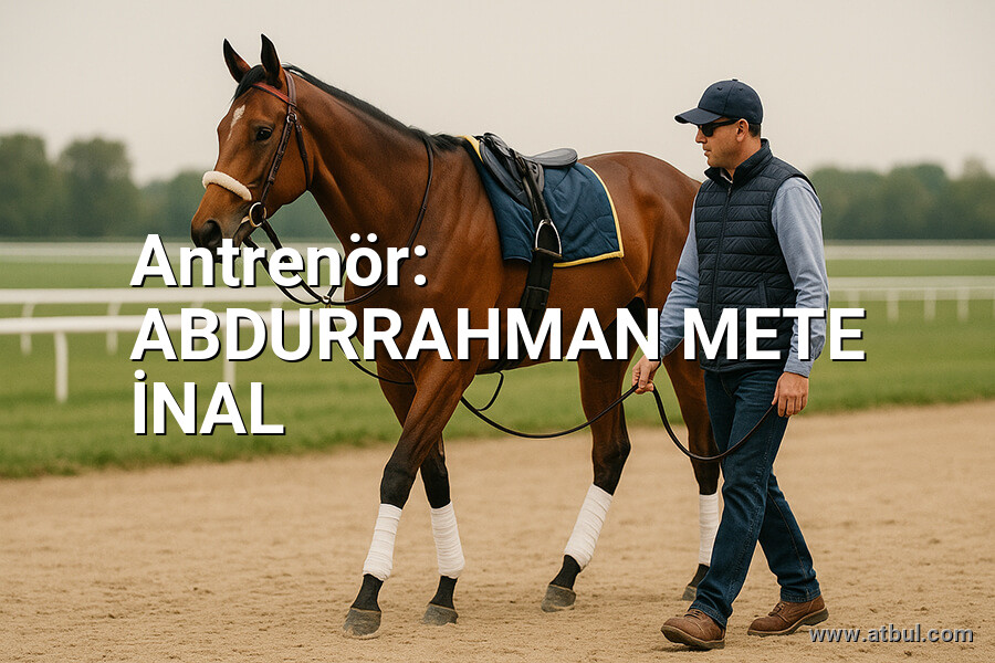 ABDURRAHMAN METE İNAL