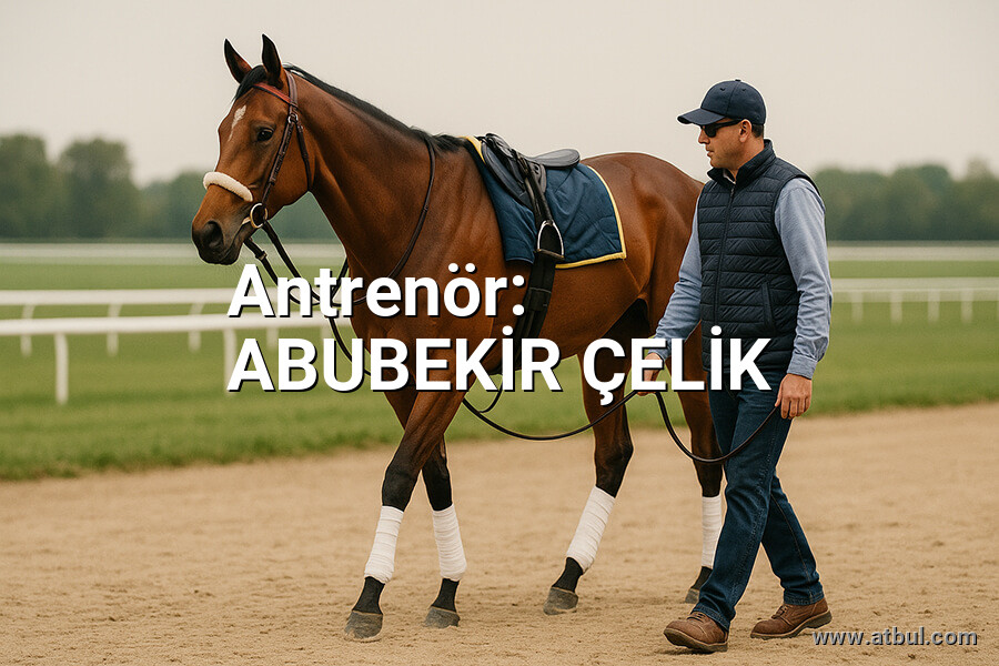 ABUBEKİR ÇELİK