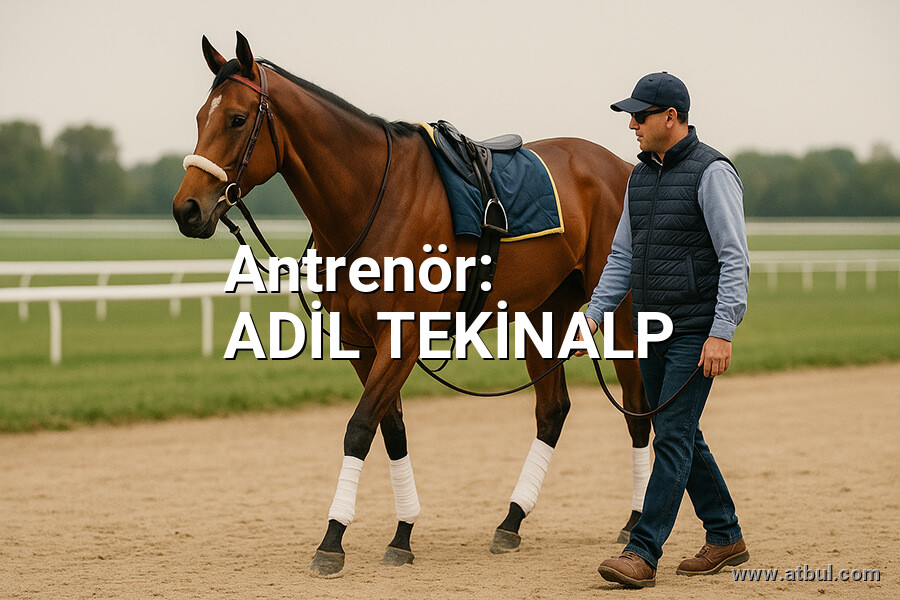 ADİL TEKİNALP