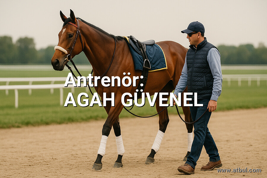 AGAH GÜVENEL