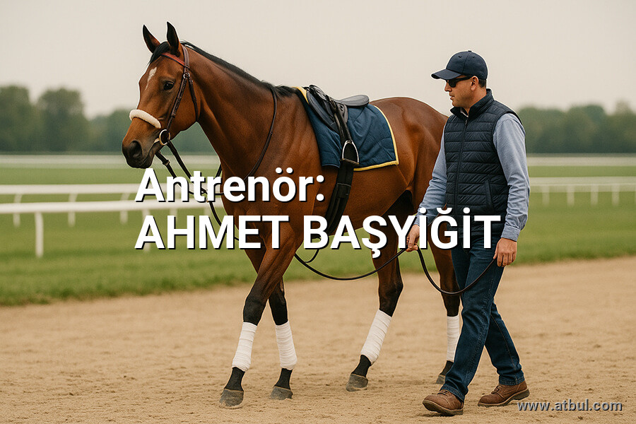 AHMET BAŞYİĞİT