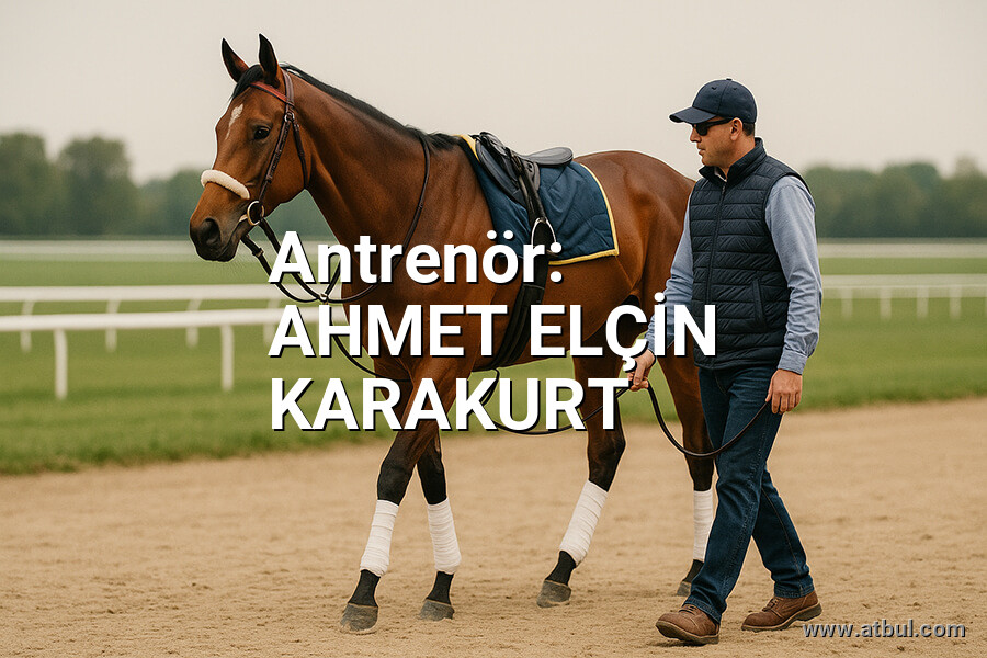 AHMET ELÇİN KARAKURT