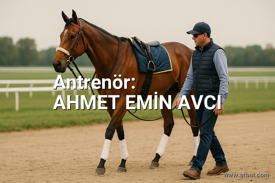AHMET EMİN AVCI