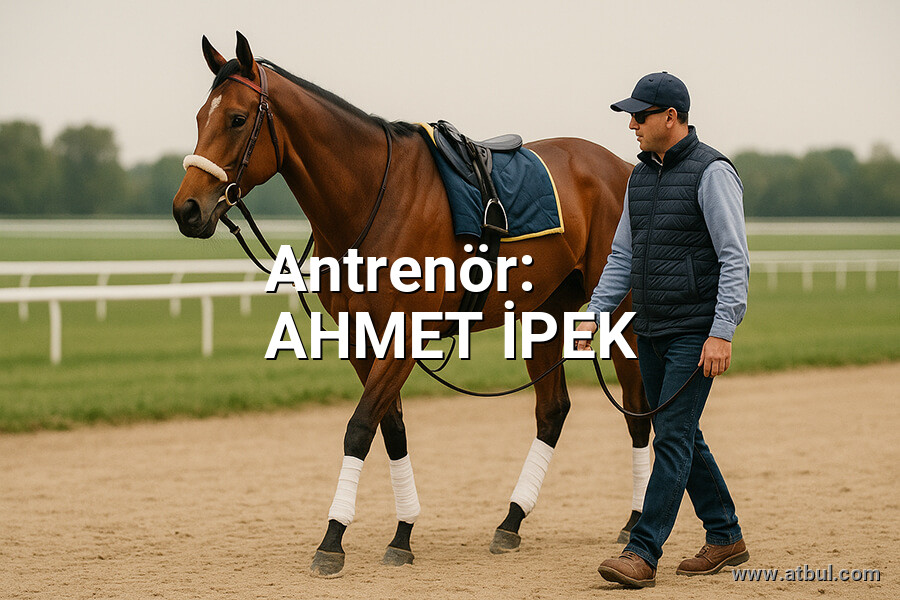 AHMET İPEK