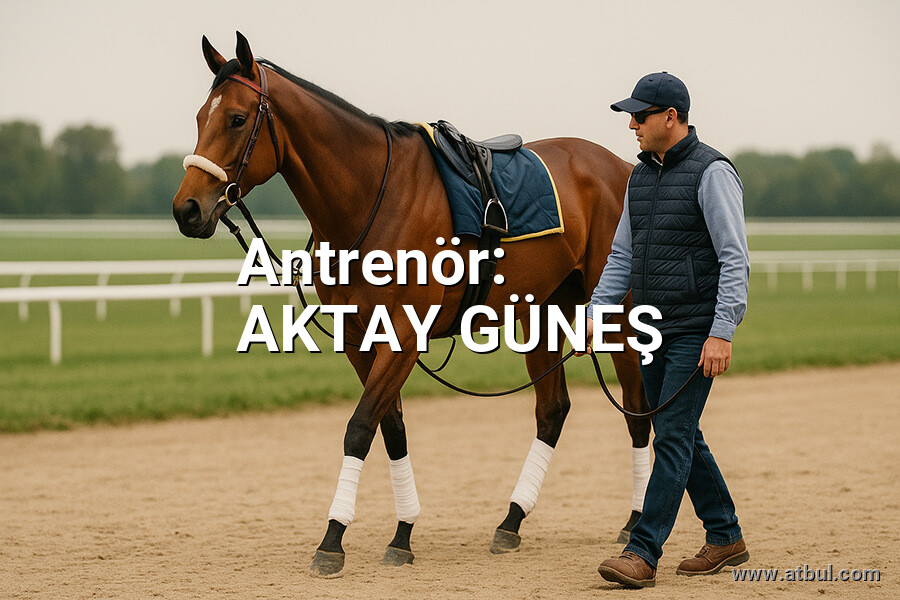 AKTAY GÜNEŞ