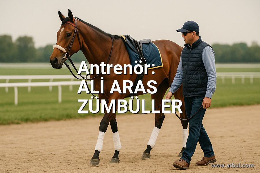 ALİ ARAS ZÜMBÜLLER