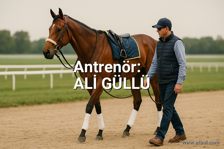 ALİ GÜLLÜ