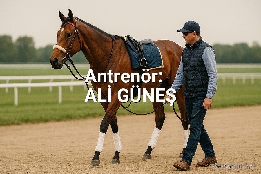 ALİ GÜNEŞ