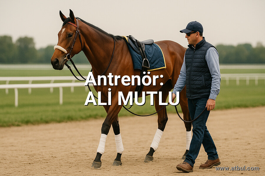 ALİ MUTLU