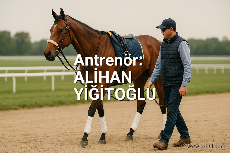 ALİHAN YİĞİTOĞLU