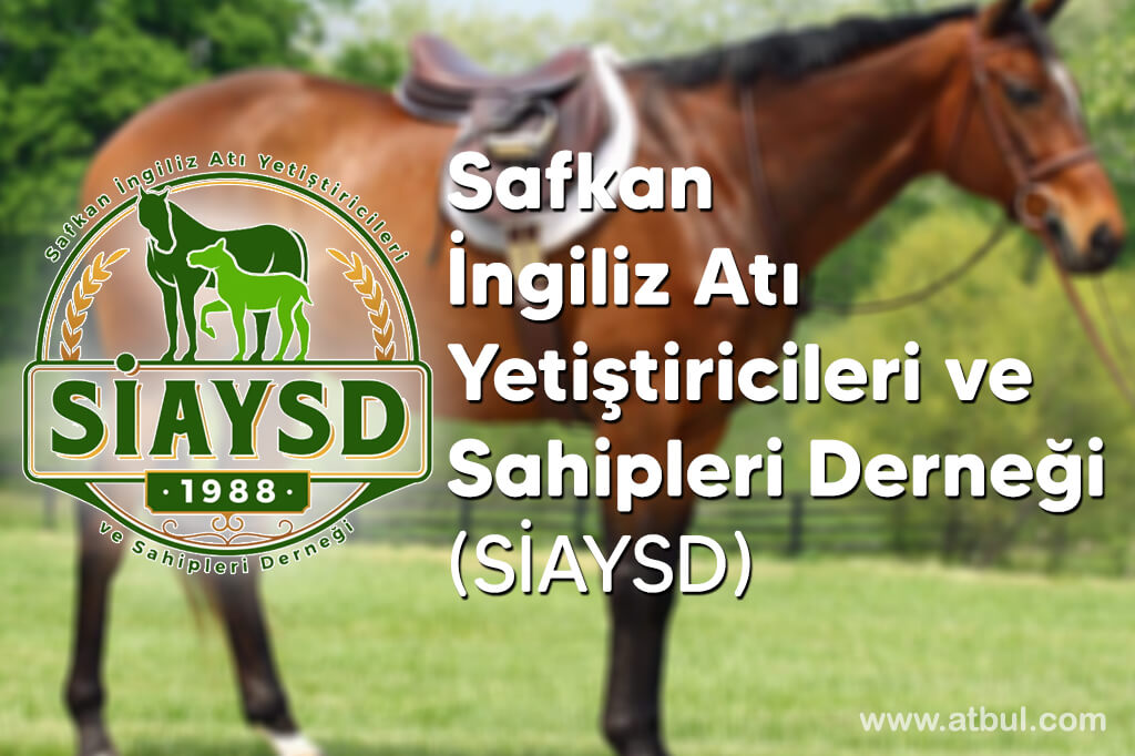 Safkan İngiliz Atı Yetiştiricileri ve Sahipleri Derneği (SİAYSD)